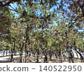 Pine forest (sideways) 140522950