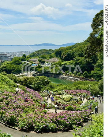 這裡是片原溫泉繡球花村(愛知縣蒲郡市),俯瞰三河灣、三金山的蔥鬱景色和盛開的繡球花園。 這裡是片原溫泉繡球花村(愛知縣蒲郡市),俯瞰三河灣、三金山的蔥鬱景色和盛開的繡球花園。 140522975