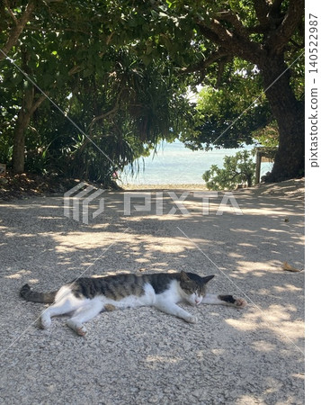 一隻貓舒服地躺在樹蔭下,背景是熱帶天堂般的大海。 一隻貓舒服地躺在樹蔭下,背景是熱帶天堂般的大海。 140522987