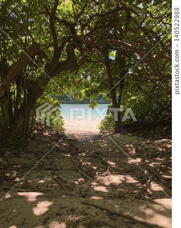 穿過綠樹成蔭形成的隧道,便是美麗的熱帶海洋和白色沙灘。 穿過綠樹成蔭形成的隧道,便是美麗的熱帶海洋和白色沙灘。 140522988