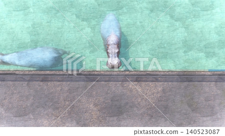 A 3DCG illustration of a hippopotamus at a zoo, swimming in the water and relaxing. No human figures are included. 140523087