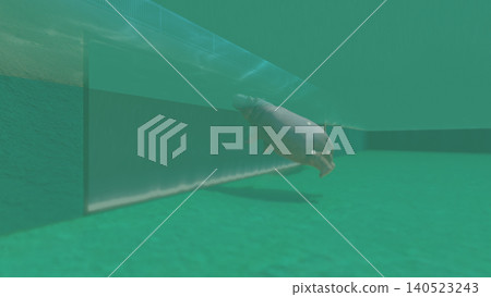A 3DCG illustration of a hippopotamus at a zoo, swimming in the water and relaxing. No human figures are included. A 3DCG illustration of a hippopotamus at a zoo, swimming in the water and relaxing. No human figures are included. 140523243