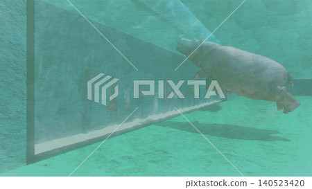 A 3DCG illustration of a hippopotamus at a zoo, swimming and relaxing in the water, with a person present. A 3DCG illustration of a hippopotamus at a zoo, swimming and relaxing in the water, with a person present. 140523420