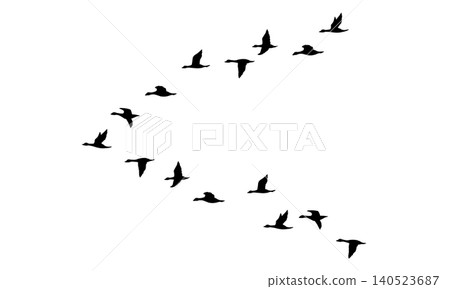 Silhouette of a flock of birds flying in a V-shape Silhouette of a flock of birds flying in a V-shape 140523687