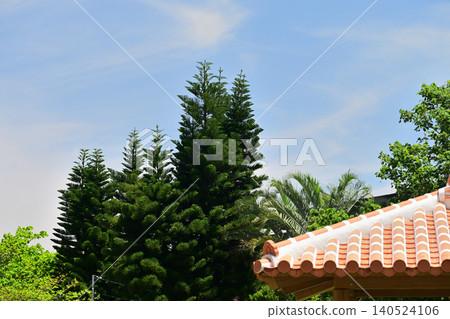 Norfolk cedar and red tiled roofs 140524106