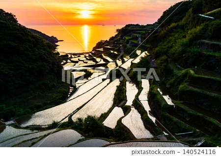 Evening view of the terraced rice fields in Hamanoura, Saga Prefecture. Evening view of the terraced rice fields in Hamanoura, Saga Prefecture. 140524116