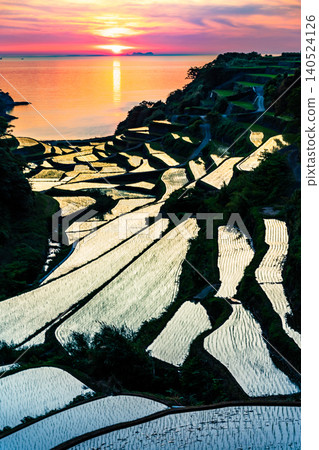 Evening view of the terraced rice fields in Hamanoura, Saga Prefecture. Evening view of the terraced rice fields in Hamanoura, Saga Prefecture. 140524126