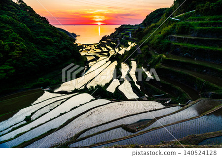 Evening view of the terraced rice fields in Hamanoura, Saga Prefecture. Evening view of the terraced rice fields in Hamanoura, Saga Prefecture. 140524128