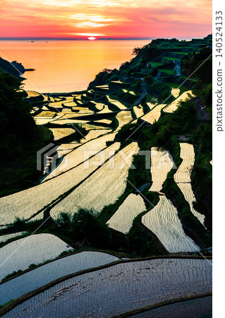 Evening view of the terraced rice fields in Hamanoura, Saga Prefecture. 140524133