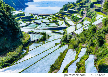 Rice terraces in Hamanoura, Saga Prefecture Rice terraces in Hamanoura, Saga Prefecture 140524204