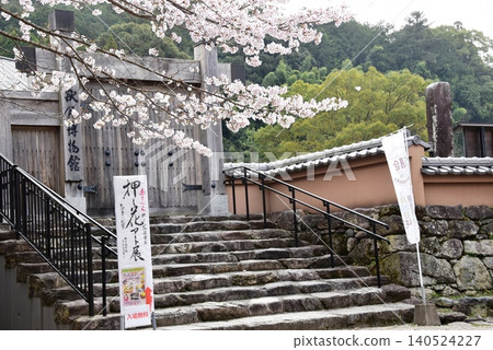 Entrance to Akizuki Museum and cherry blossoms in full bloom in Asakura City, Fukuoka Prefecture Entrance to Akizuki Museum and cherry blossoms in full bloom in Asakura City, Fukuoka Prefecture 140524227