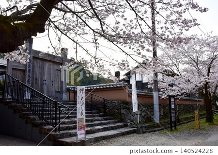 Akizuki Museum entrance, cherry blossoms in full bloom, and the cedar forest in Asakura City, Fukuoka Prefecture. 140524228