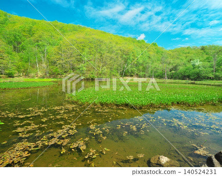Norikura Kogen Ichinose Park: Azami Pond surrounded by fresh greenery Norikura Kogen Ichinose Park: Azami Pond surrounded by fresh greenery 140524231