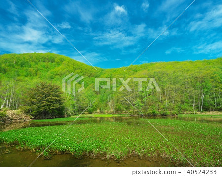 Norikura Kogen Ichinose Park: Azami Pond surrounded by fresh greenery Norikura Kogen Ichinose Park: Azami Pond surrounded by fresh greenery 140524233