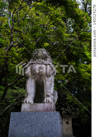 Shizumori, the guardian lion-dog of Katori Shrine in Ibaraki Prefecture Shizumori, the guardian lion-dog of Katori Shrine in Ibaraki Prefecture 140524276