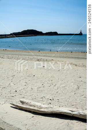 沙灘上散落著漂流木,海面平靜。 沙灘上散落著漂流木,海面平靜。 140524556