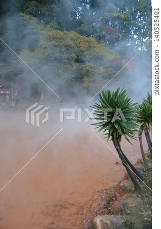 Beppu Hell Tour "Blood Pond Hell" (Beppu Hot Springs / Beppu City, Oita Prefecture) 140525491