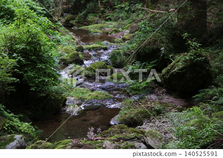 Beautiful Japanese stream scenery thriving in hidden regions Beautiful Japanese stream scenery thriving in hidden regions 140525591