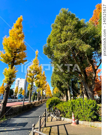東京板橋高島平住宅區 東京板橋高島平住宅區 140525617