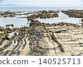 Early summer coastal scenery in Hayama Town, Kanagawa Prefecture 140525713