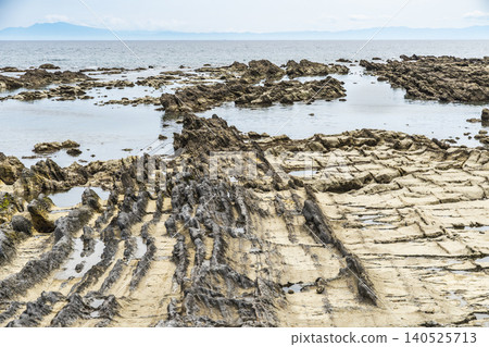 Early summer coastal scenery in Hayama Town, Kanagawa Prefecture Early summer coastal scenery in Hayama Town, Kanagawa Prefecture 140525713