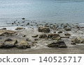Early summer coastal scenery in Hayama Town, Kanagawa Prefecture 140525717