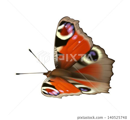 Detailed illustration of colorful butterfly Detailed illustration of colorful butterfly 140525748