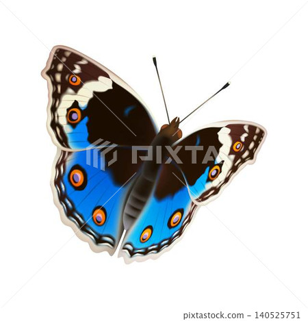 Blue and Brown Butterfly Illustration on White 140525751