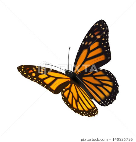 Vibrant Monarch Butterfly With Detailed Wings Vibrant Monarch Butterfly With Detailed Wings 140525756