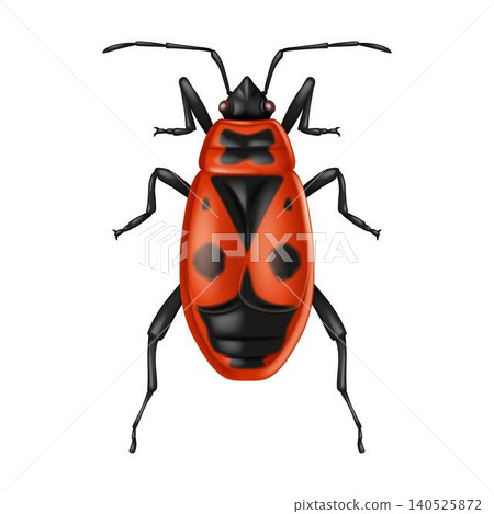 Detailed Illustration of a Red and Black Insect Detailed Illustration of a Red and Black Insect 140525872