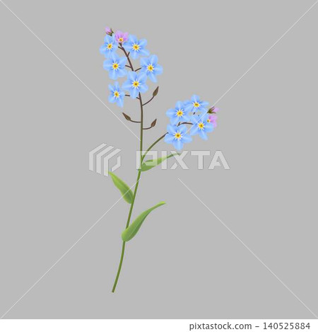 Delicate Blue Flowers on Gray Background Delicate Blue Flowers on Gray Background 140525884