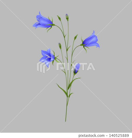 Vibrant Bluebell Flowers in Detailed Illustration 140525889