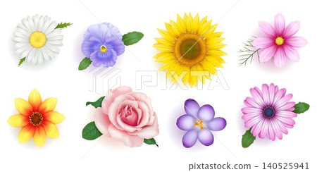 Realistic Illustrations of Various Flowers 140525941