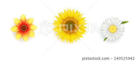 Bright Floral Illustrations of Three Flowers Bright Floral Illustrations of Three Flowers 140525942