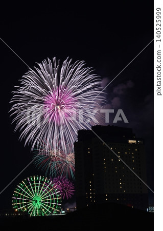 泉佐野市煙火 3 泉佐野市煙火 3 140525999