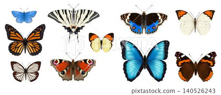 Colorful Butterfly Collection with Diverse Patterns Colorful Butterfly Collection with Diverse Patterns 140526243