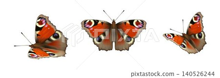 Vibrant Butterfly Trio on Clean White Background Vibrant Butterfly Trio on Clean White Background 140526244