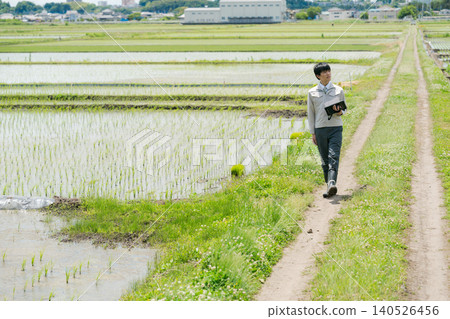 A man in work clothes looking at a rice field. A man in work clothes looking at a rice field. 140526456