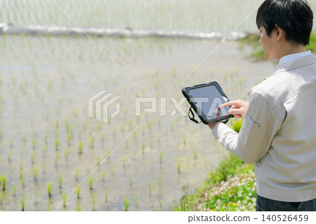 一名男子使用平板電腦進行農業生產。 一名男子使用平板電腦進行農業生產。 140526459