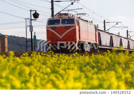 A close-up of the E316 electric locomotive of the Taiwan Railways Administration (TRA) passing through a field of golden rapeseed flowers on the Miaoli-Tongxiao Western Trunk Line (Coastal Line). A close-up of the E316 electric locomotive of the Taiwan Railways Administration (TRA) passing through a field of golden rapeseed flowers on the Miaoli-Tongxiao Western Trunk Line (Coastal Line). 140526552