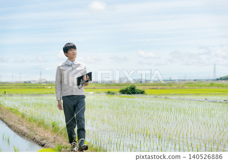 A man in work clothes looking at a rice field. A man in work clothes looking at a rice field. 140526886