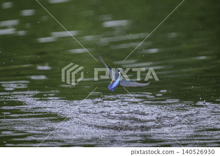 在水邊的金魚 140526930