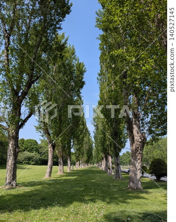 札幌前田森林公園 札幌前田森林公園 140527145