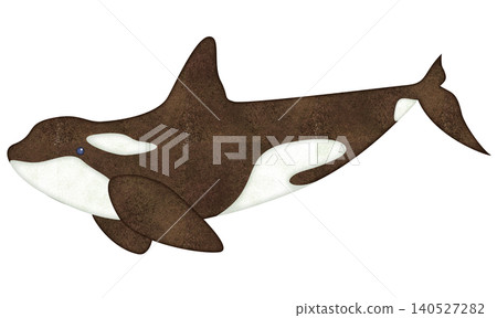 Watercolor-style orca Watercolor-style orca 140527282