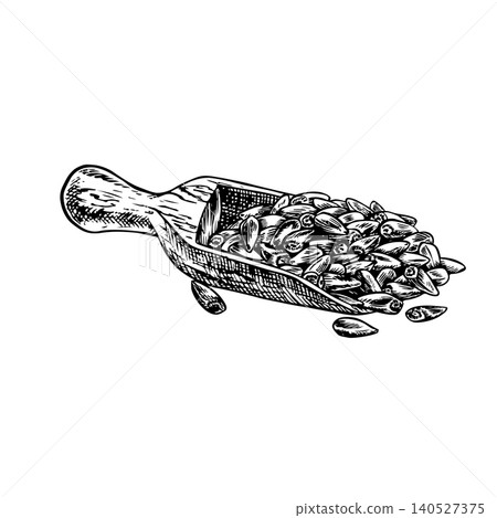 Sunflower seeds in a wooden measuring scoop. Black and white hand-drawn vector illustration. Element of label and packaging design, as well as banners, posters, and more. Sunflower seeds in a wooden measuring scoop. Black and white hand-drawn vector illustration. Element of label and packaging design, as well as banners, posters, and more. 140527375