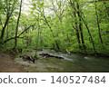 Oirase stream 140527484