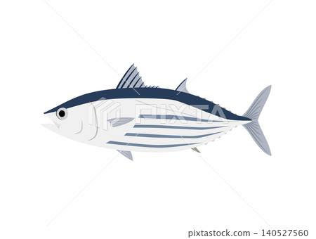 Skipjack illustration Skipjack illustration 140527560