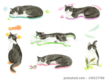 A set of watercolor illustrations of a calico cat. A set of watercolor illustrations of a calico cat. 140527766