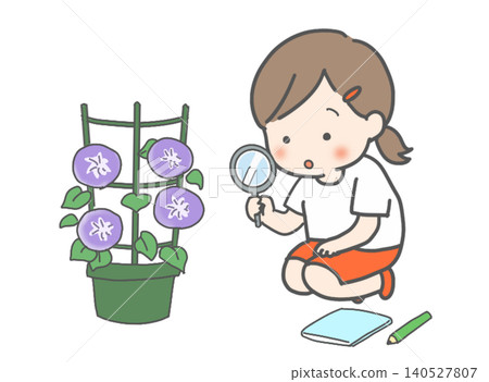 Morning glory watering Morning glory watering 140527807