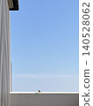 A wide blue sky and sparrows perched on a wall. 140528062